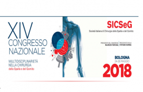 Congresso Nazionale SICSeG