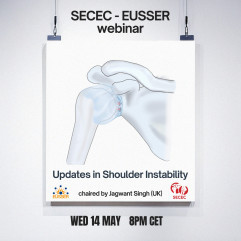 SECEC - EUSSER webinar