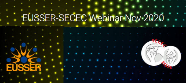 EUSSER-SECEC webinar