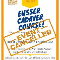 Cadaver Course