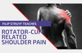 Rotator Cuff-related Shoulder Pain